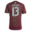 Maillot Foot Mexique Guillermo Ochoa 13 Domicile 2024